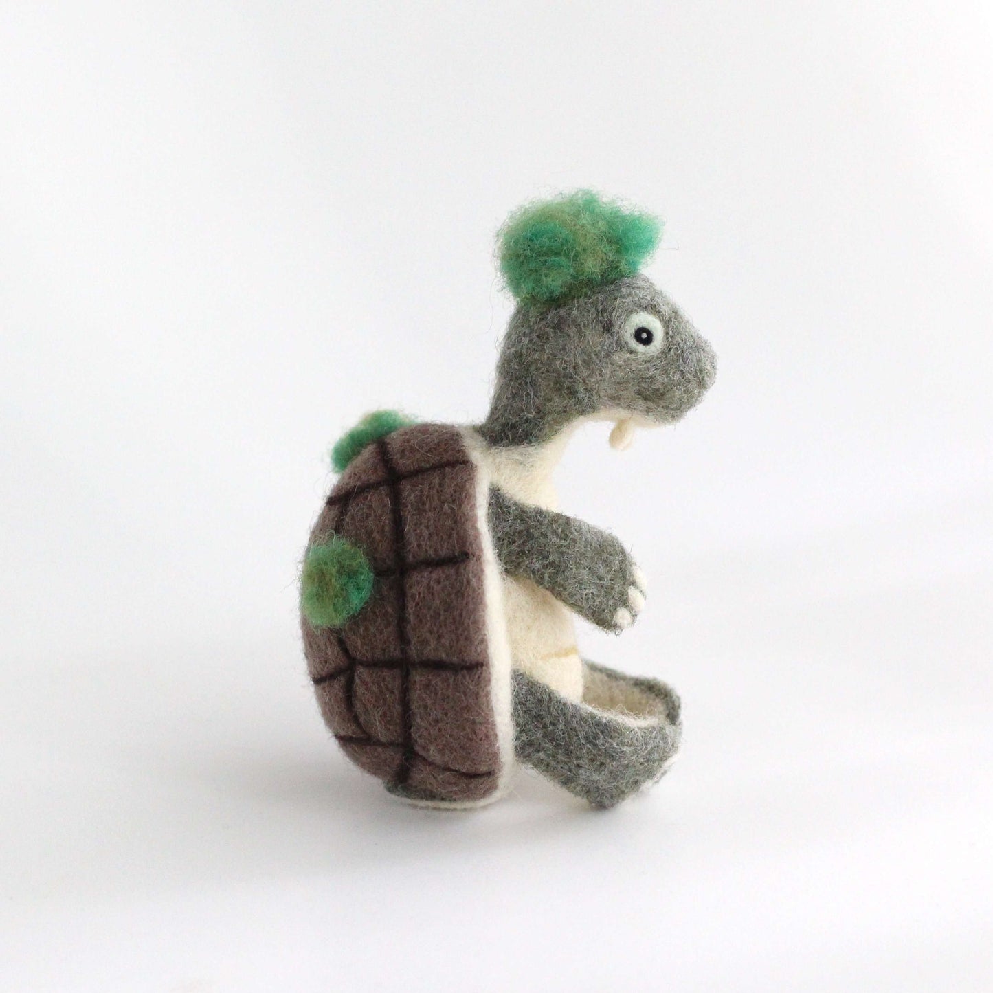 Needle Felted Mary River Turtle