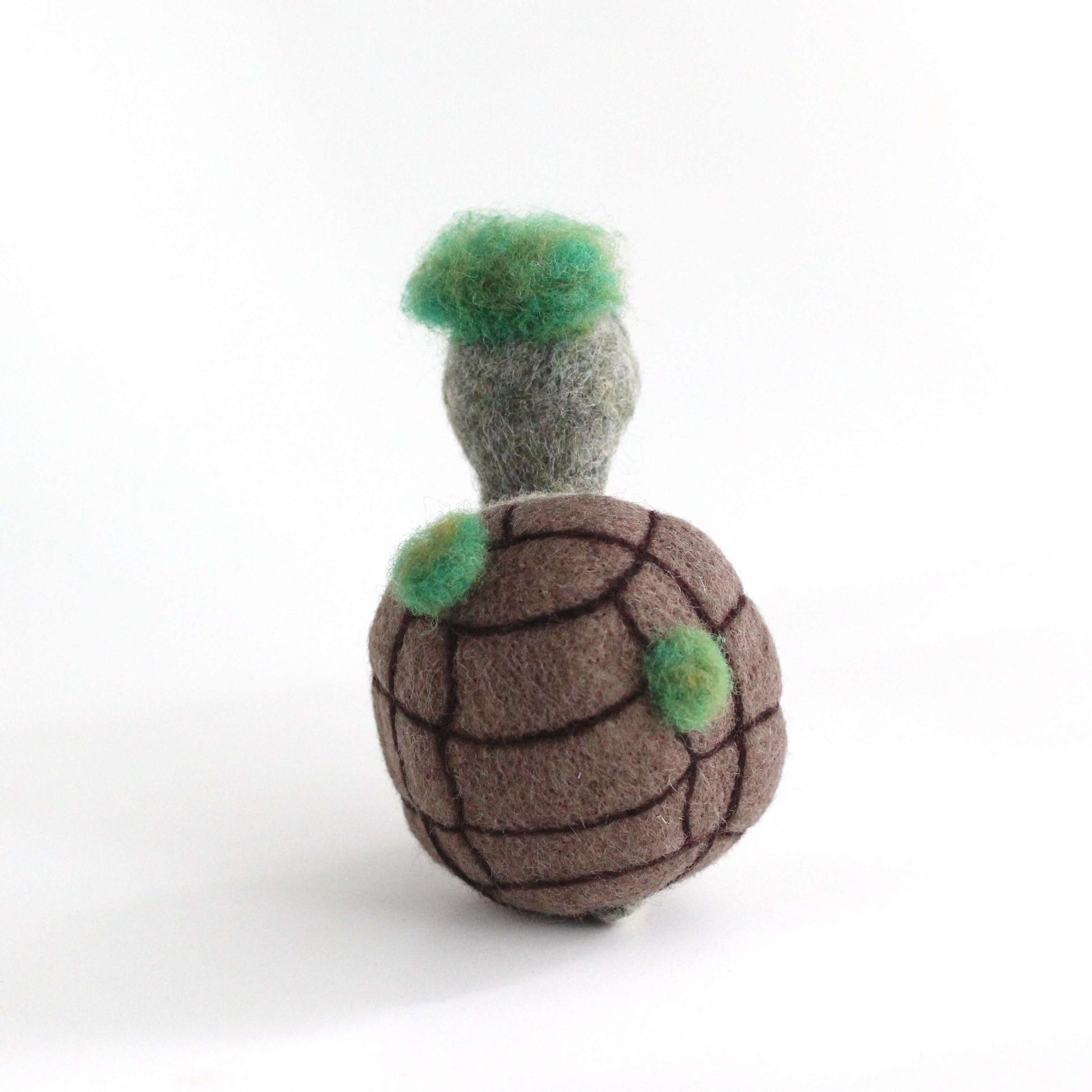 Needle Felted Mary River Turtle by Wild Whimsy Woolies