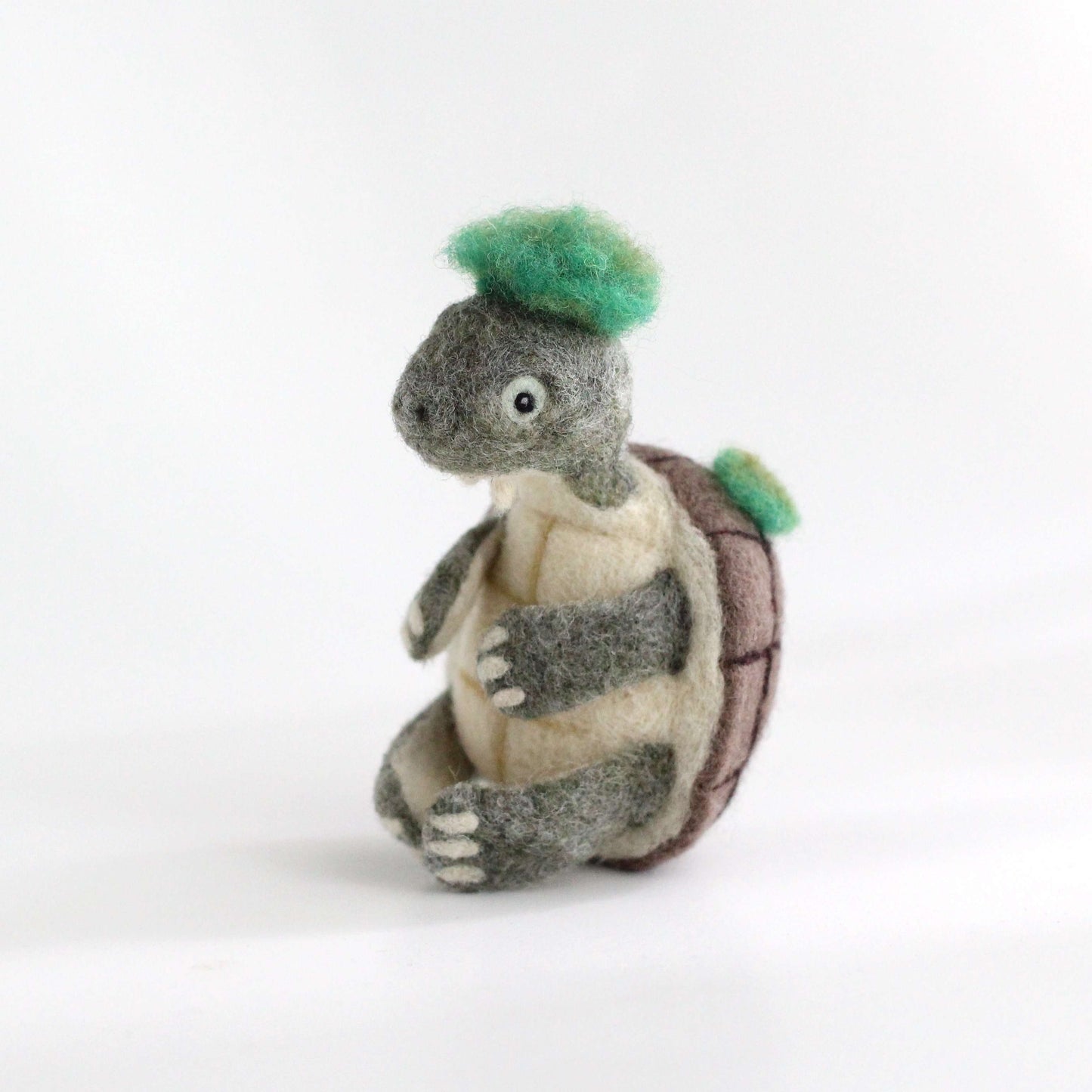 Needle Felted Mary River Turtle